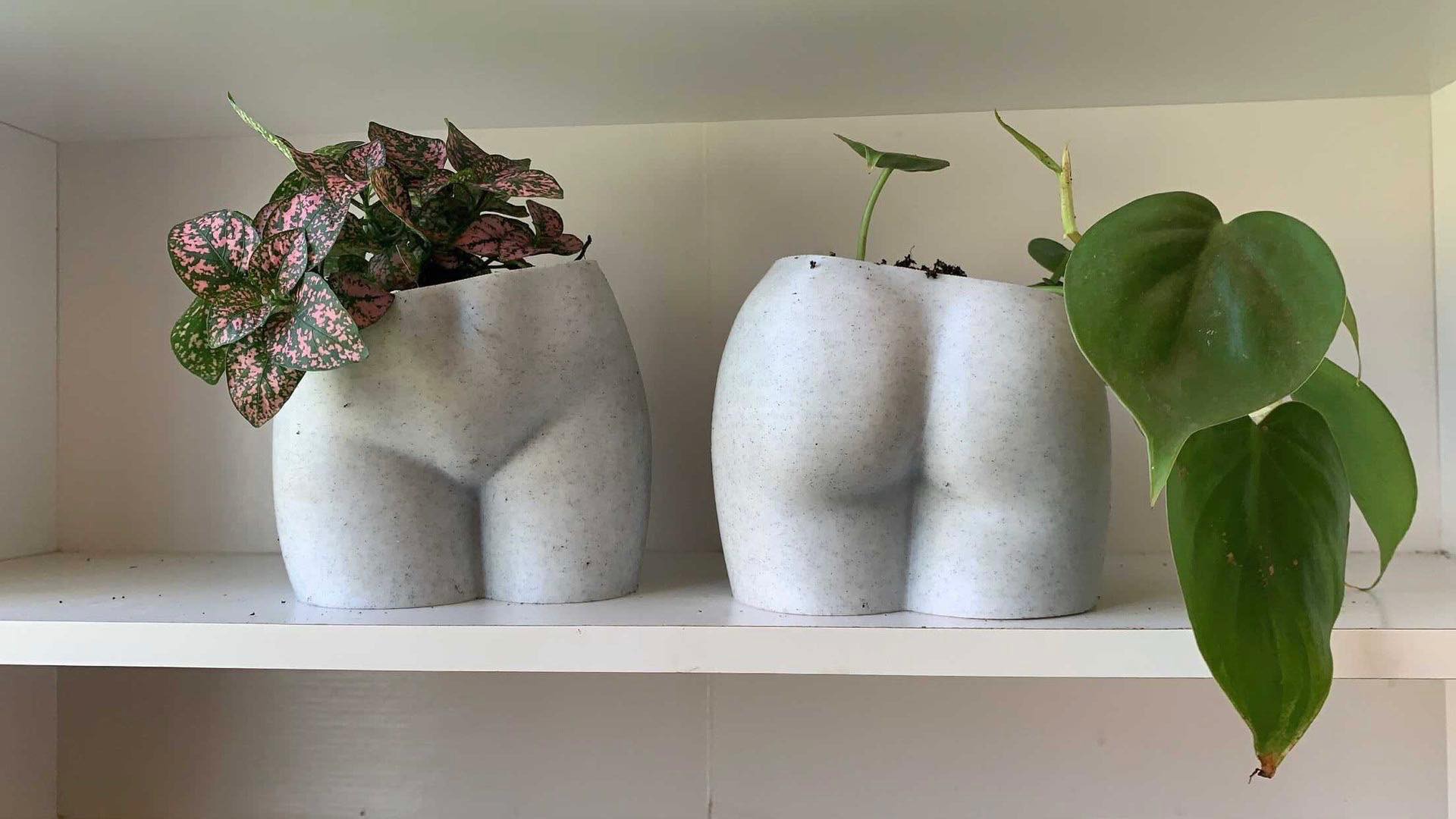 Original Peachy Butt Planter©