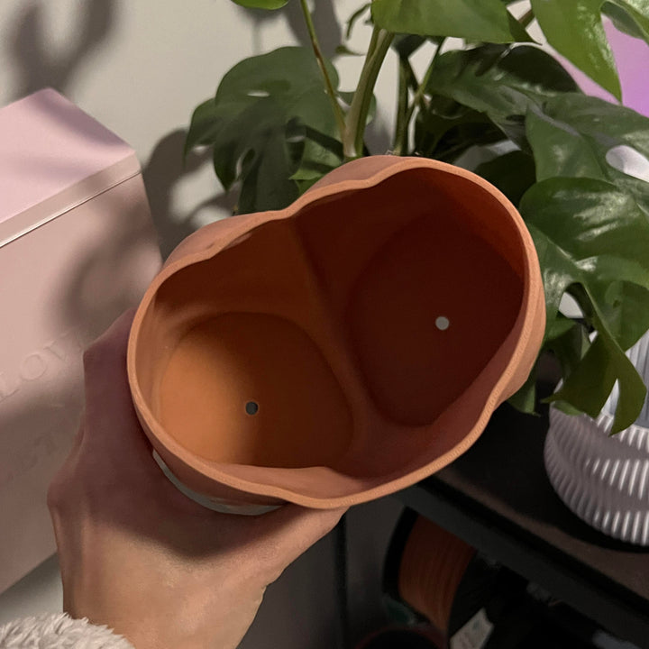5 Inch Muscle Daddy Butt Planter | More Colors Available