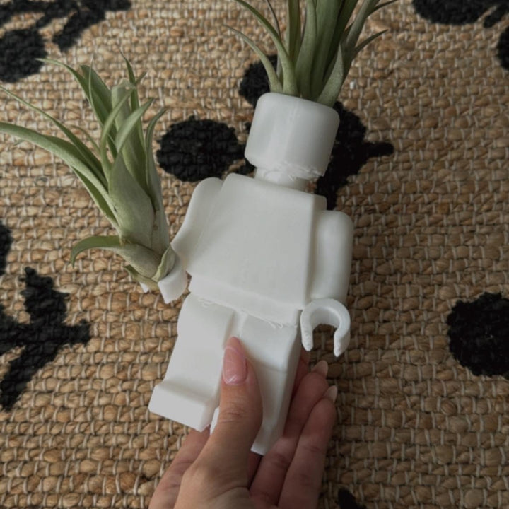 Blox Air Plant Holder | More Colors Available