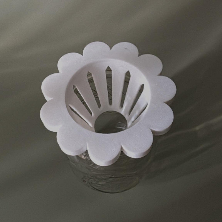 Petal Propagation Cone for Mason Jars | More Colors Available