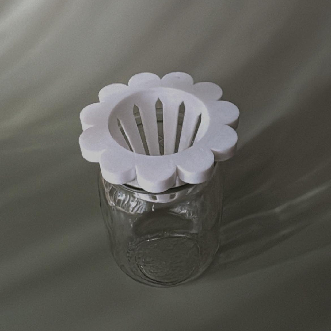Petal Propagation Cone for Mason Jars | More Colors Available