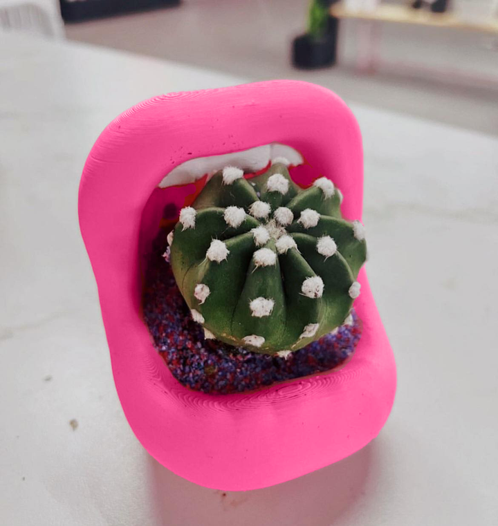 Retro Lips Planter | More Sizes + Colors Available