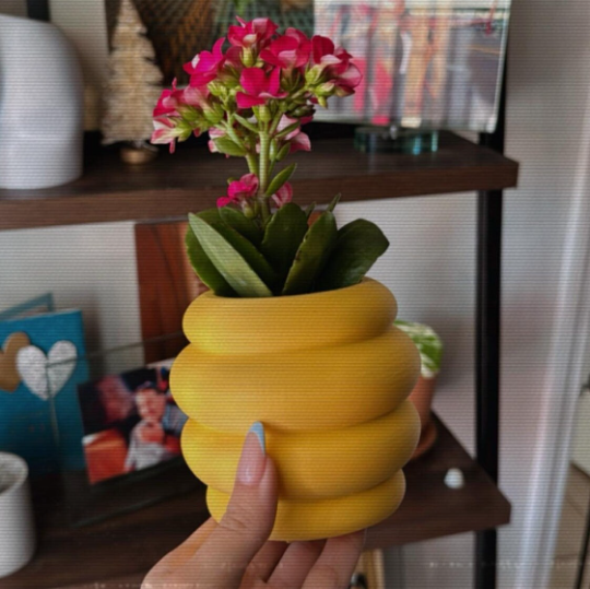 Honey Pot Planter | More Colors Available