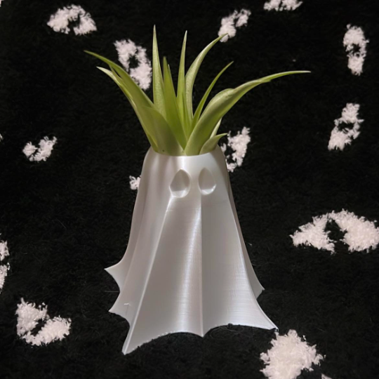 BOO! Ghost Air Plant Holder | More Colors Available