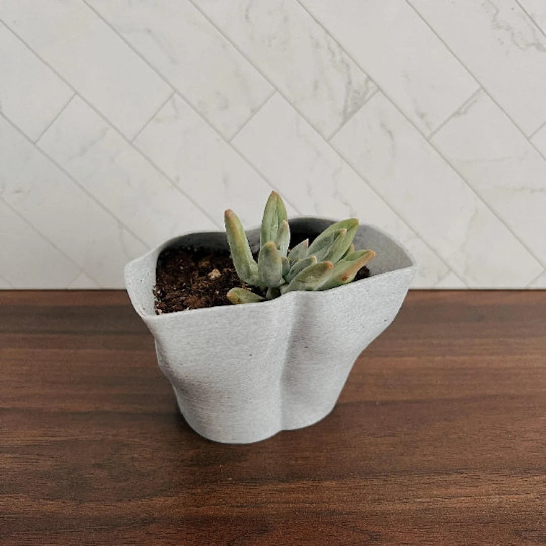 Boob Planter | More Colors Available