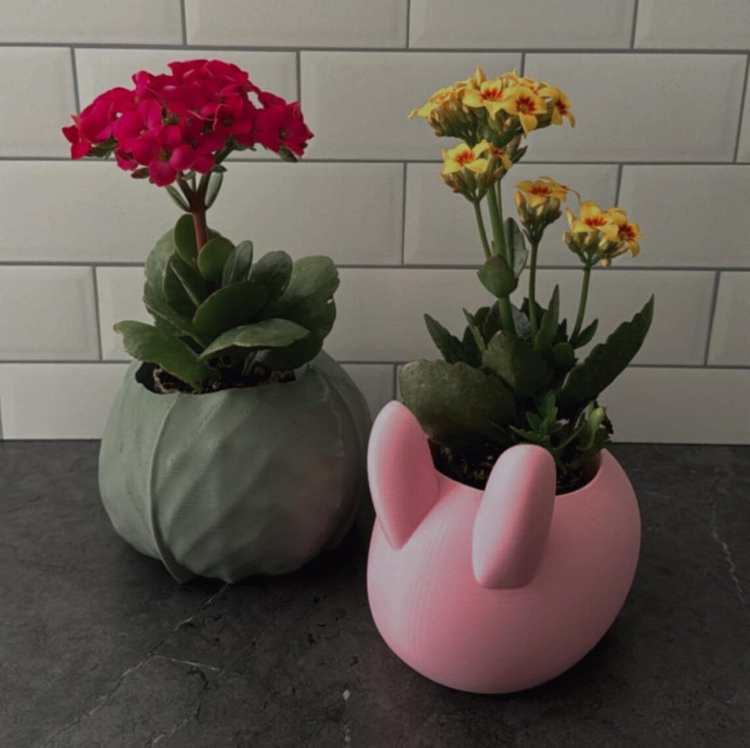 Cabbage Planter | More Colors Available