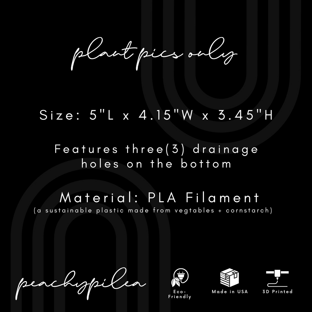 Plant Pics Only Planter | More Colors Available