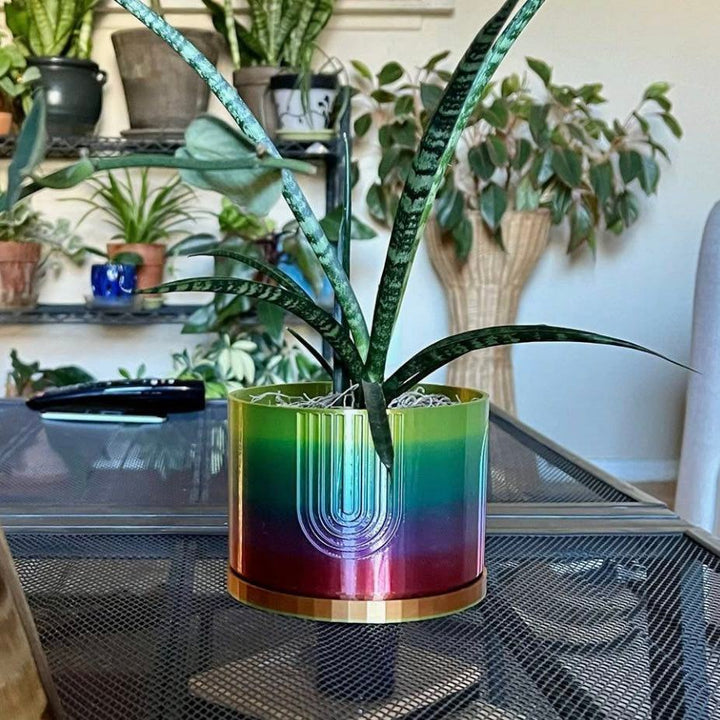 5 Inch Rainbow Boho Planter | More Colors Available