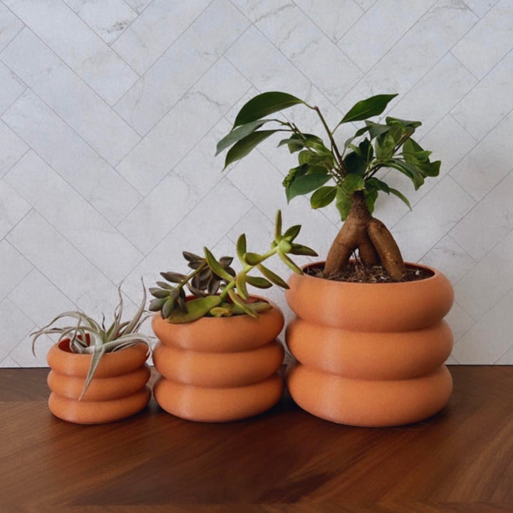 Short Bubble Planter | More Colors Available