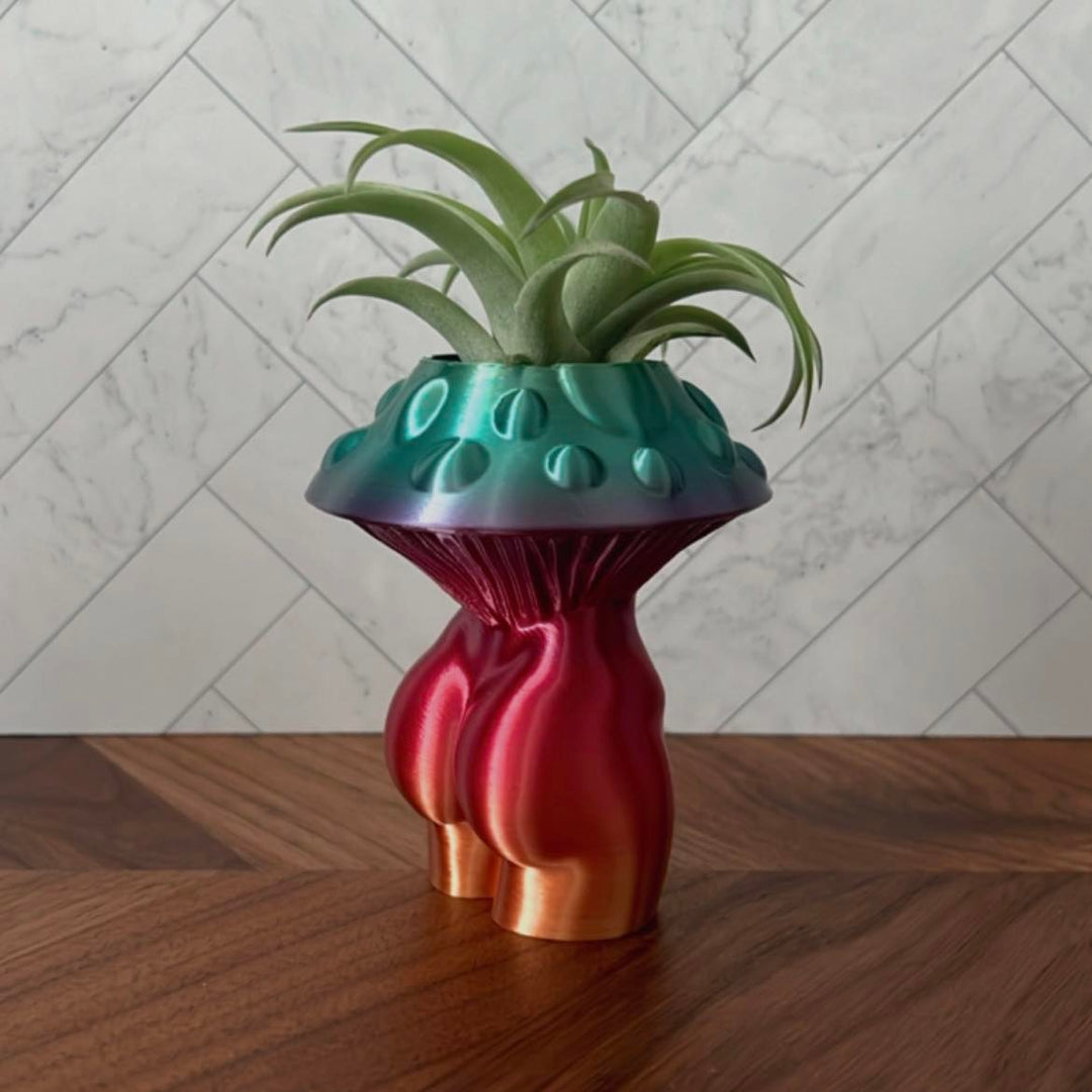 4 Inch Mushroom Goddess Air Plant Holder | More Colors Available