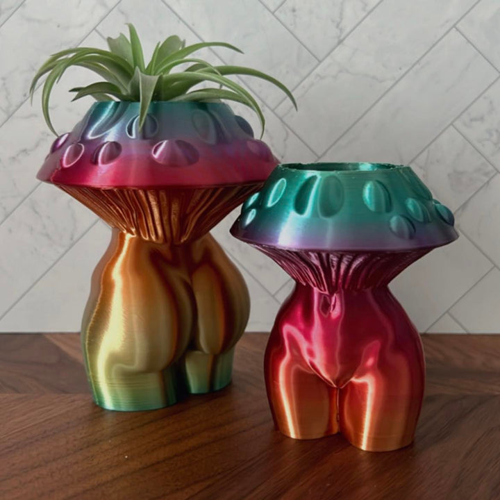 5 Inch Mushroom Goddess Air Plant Holder | More Colors Available