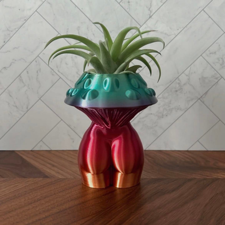 Mushroom Goddess Air Plant Holder | More Sizes + Colors Available