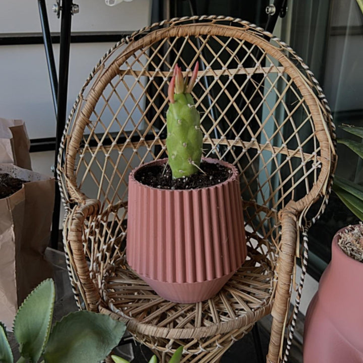Pleated Planter | More Colors Available