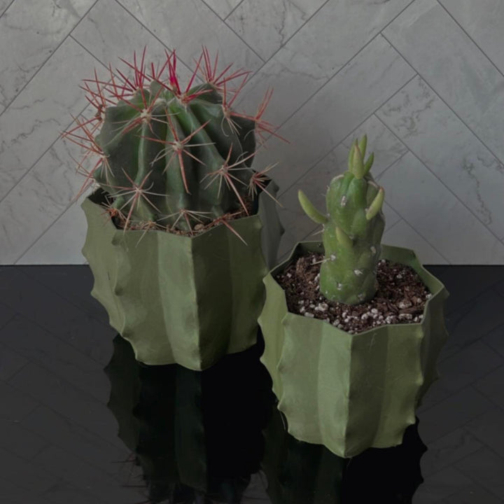 Cactus Shape Planter | More Colors Available