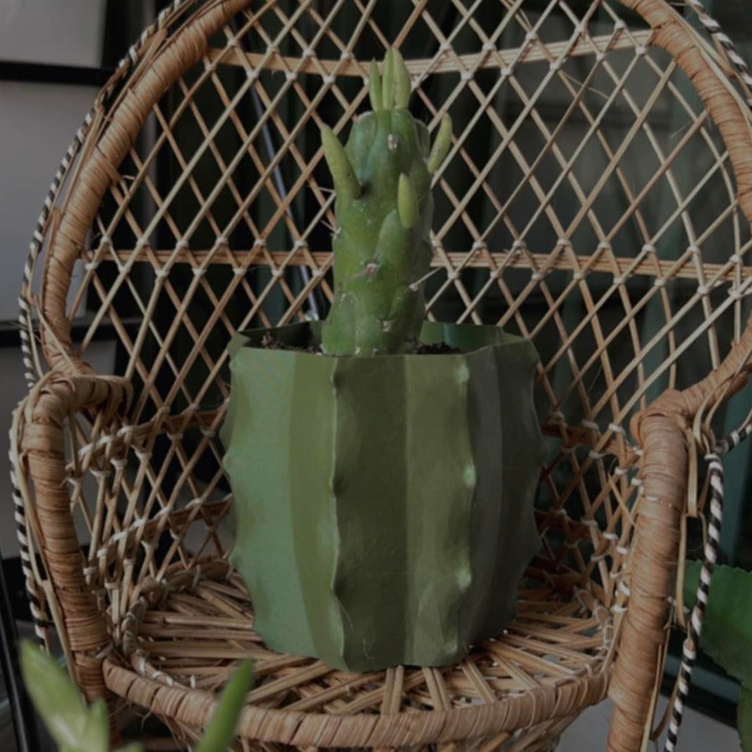 Cactus Shape Planter | More Colors Available