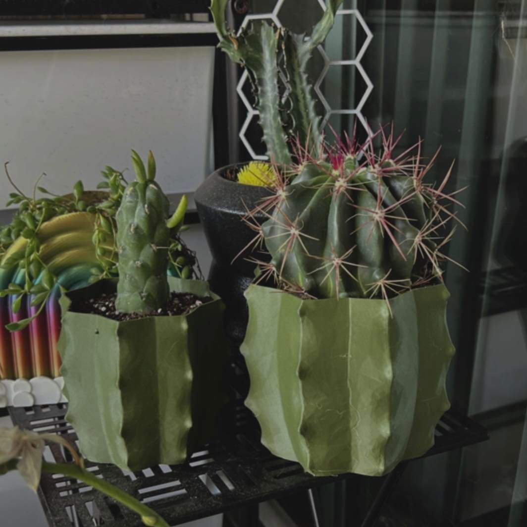 Cactus Shape Planter | More Colors Available