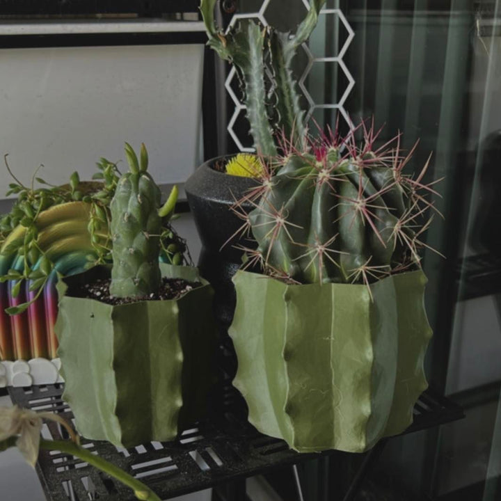Cactus Shape Planter | More Colors Available
