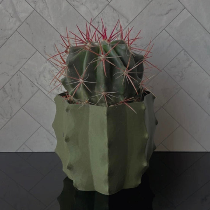 Cactus Shape Planter | More Colors Available