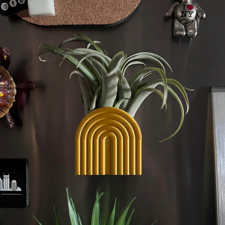 Rainbow Air Plant Magnet | More Colors Available