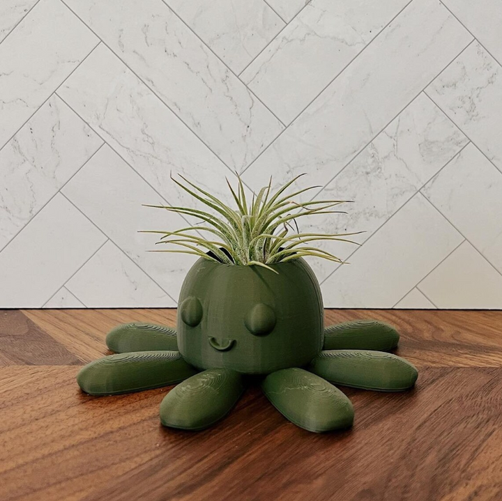 Happy Octopus Air Plant Holder | More Colors Available