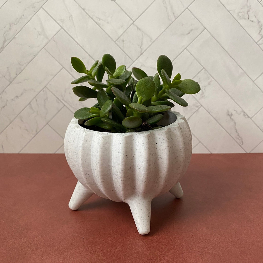 4 inch Round 3-Leg Planter | More Colors Available
