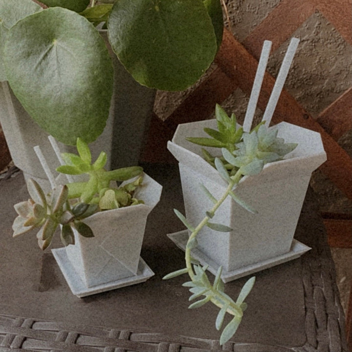 4.75 Inch Take Out Box Succulent Planter | More Colors Available