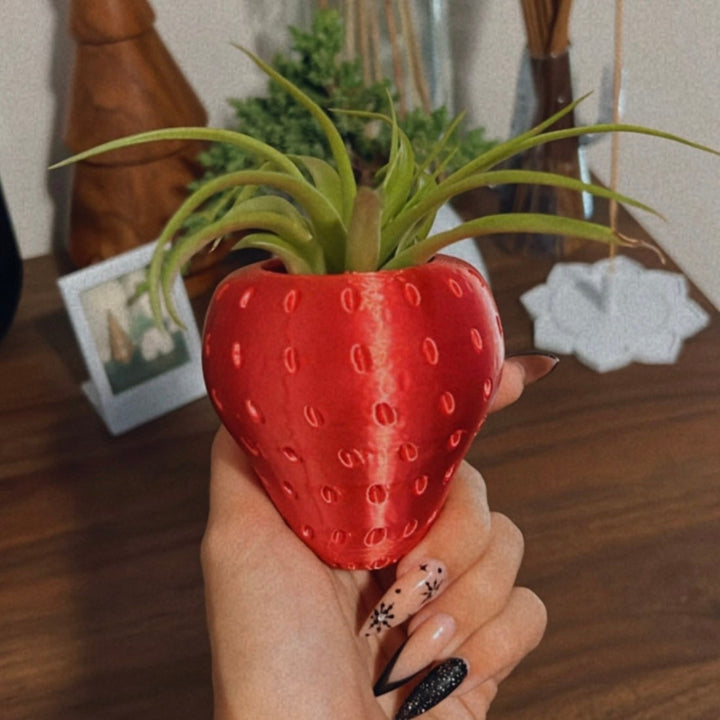 Mini Strawberry Air Plant Holder | More Colors Available