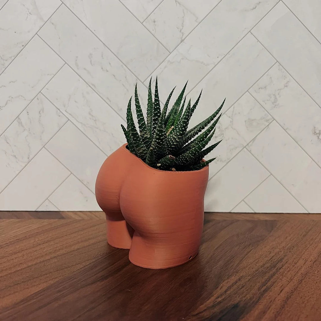 4 Inch Peachy Planter | More Colors Available