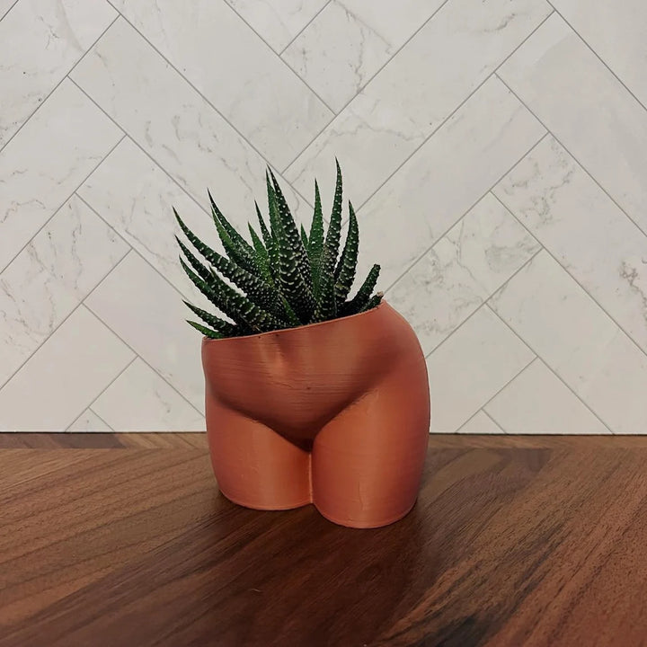 4 Inch Peachy Planter | More Colors Available