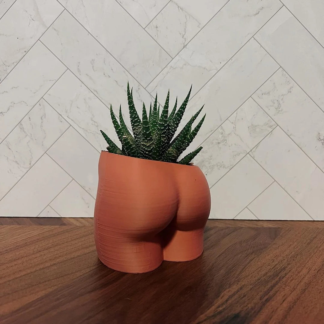 4 Inch Peachy Planter | More Colors Available