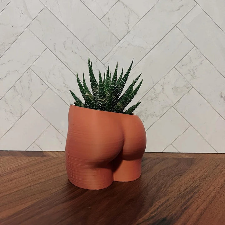 4 Inch Peachy Planter | More Colors Available