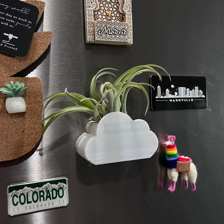 Cloud Air Plant Magnet | More Colors Available