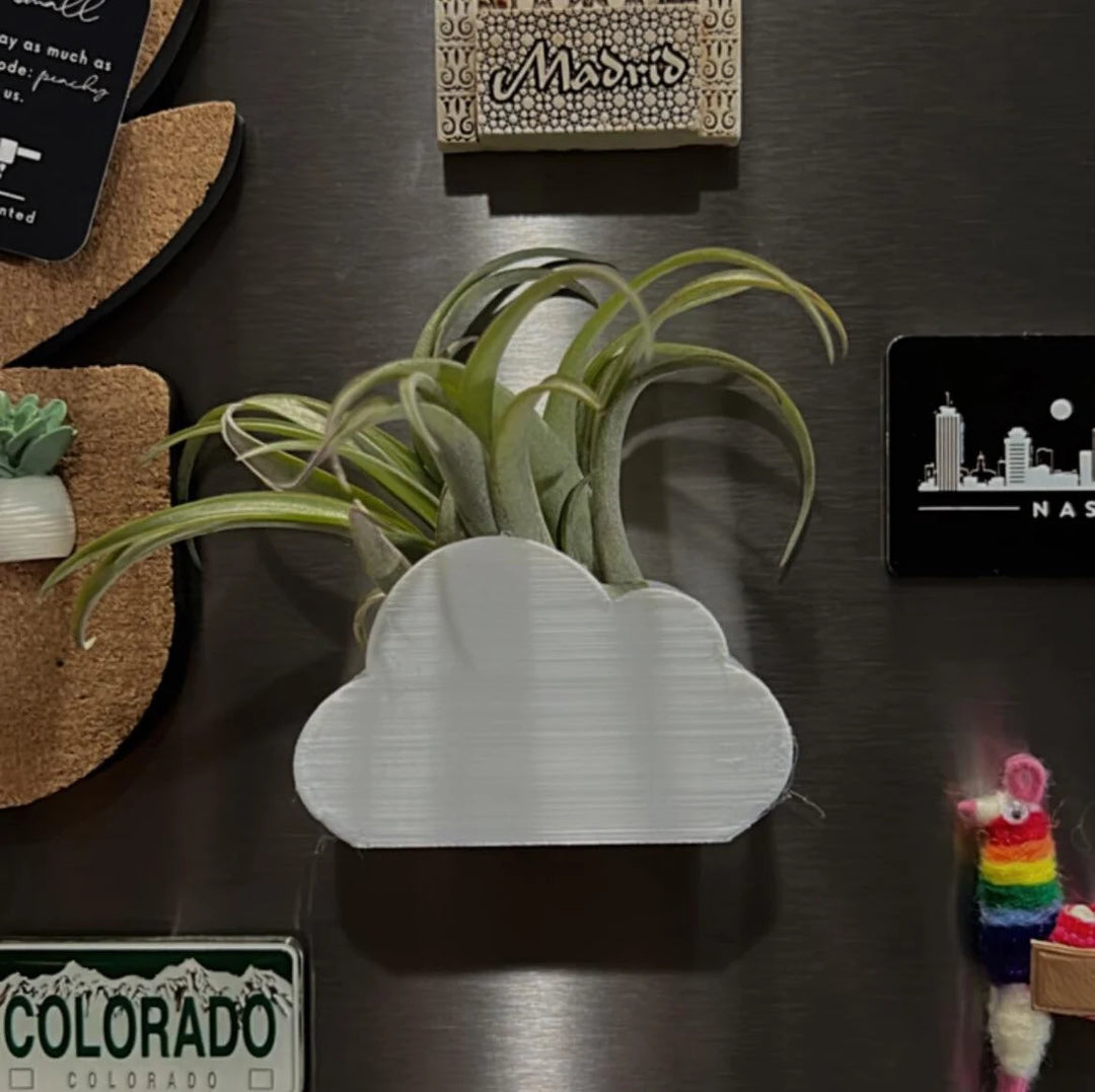 Cloud Air Plant Magnet | More Colors Available