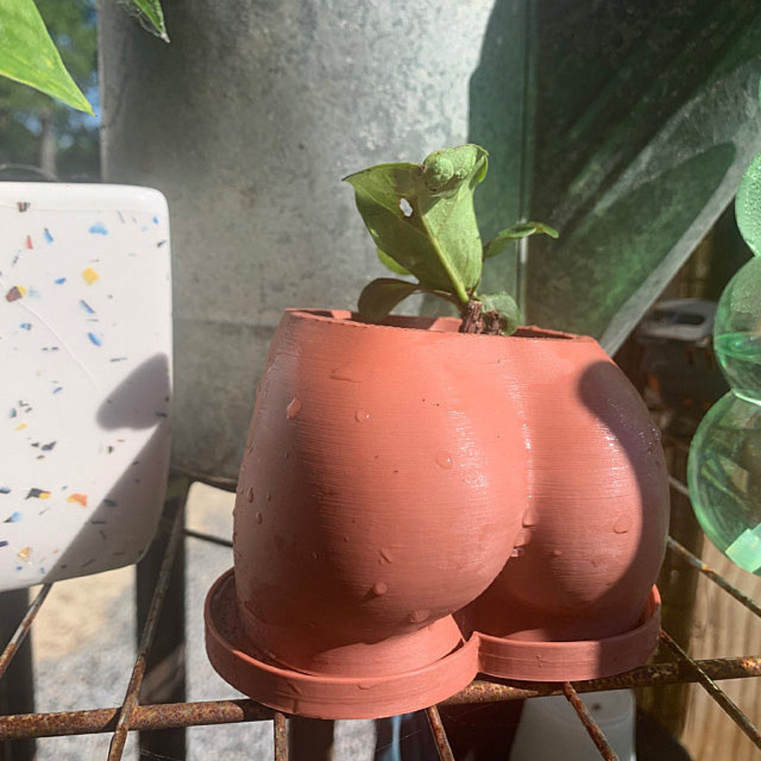 Just Peachy Planter - Tray Only** | More Colors Available