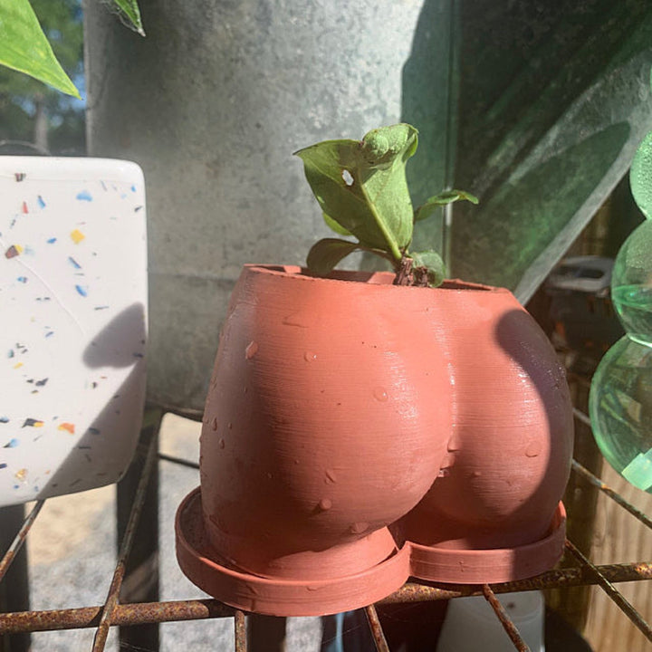 Just Peachy Planter - Tray Only** | More Colors Available